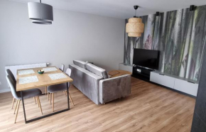 Apartament z klasą